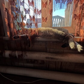 ����� ����!!!!