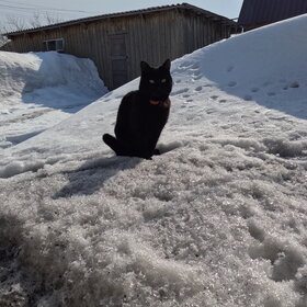 ����� � ����� ������!!!